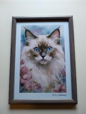 Wandbild katze kunstdruck gebraucht kaufen  Saarbrücken