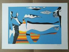 Serigrafia wladimiro tulli usato  Civitanova Marche
