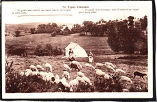 Types creusois bergeres d'occasion  Argenton-sur-Creuse