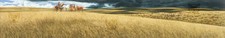 Bev doolittle arrival for sale  Seymour