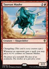 Magic mtg stierköpfiger gebraucht kaufen  Landstuhl
