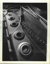 Usado, Foto de imprensa novo piano de cauda Steinway na Orquestra Sinfônica de Milwaukee comprar usado  Enviando para Brazil