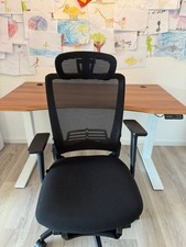 Flexispot foldex ergonomic gebraucht kaufen  Achim