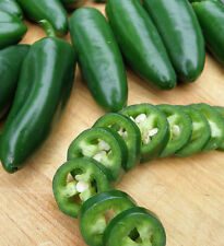 Jalapeno pepper seeds for sale  Deltona