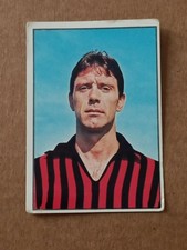 panini 1965 usato  Bologna