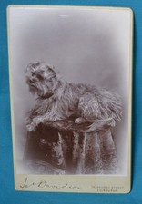 Cabinet card photo for sale  ST. ALBANS