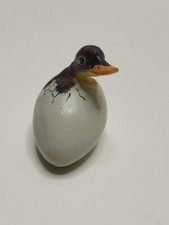 Hatching duckling egg for sale  Canton
