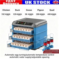 192x egg incubator for sale 192x egg incubator for sale  COALVILLE