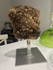 Burl burr elm for sale  LONDON