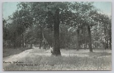 Hopedale illinois park for sale  Saint Louis
