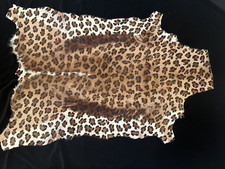 Springbok deer skin for sale  Denville