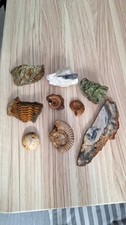 Edelsteine kristalle mineralie gebraucht kaufen  Bayreuth
