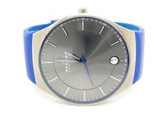 Skagen titanium titan gebraucht kaufen  Berlin
