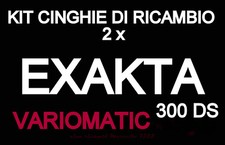 Kit cinghie ricambio usato  Perugia