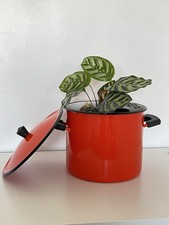 Cocotte émaillée aubecq d'occasion  Chaville