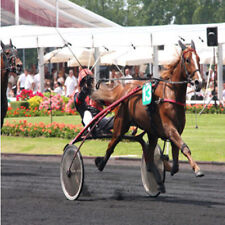 Methode turf maurice d'occasion  France