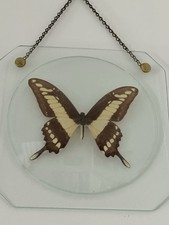 Vintage deko echter gebraucht kaufen Vintage deko echter gebraucht kaufen  Beulich, Halsenbach, Nörtershausen