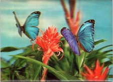 Vintage lenticular postcard for sale  Gurnee
