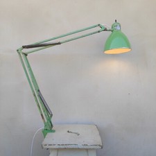 Lampada naska loris usato  Brescia