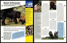 Giant schnauzer routine for sale  SLEAFORD