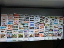Mtg 120 8th for sale  PLYMOUTH