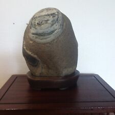 Suiseki pietra disegnata usato  Trambileno