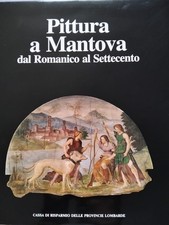 Libro pittura mantova usato  Bareggio