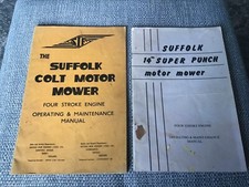 Suffolk colt suffolk for sale  TENTERDEN