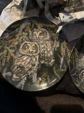 owl chicks for sale owl chicks for sale RUGBY