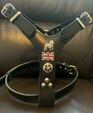 French bulldog harness for sale  BURTON-ON-TRENT