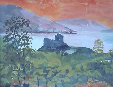 Eilean donan woodlands for sale  INVERNESS