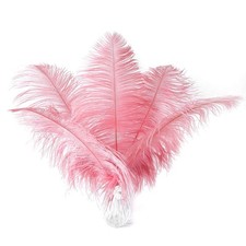 Lotus pink ostrich for sale  Lathrop