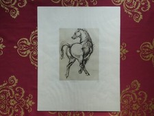 Francesco messina cavallo usato  Sarezzo