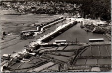 Saint trojan bains d'occasion  France