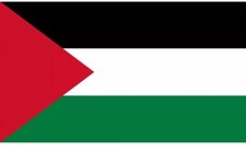 Bandiera palestina 150 usato  Breganze