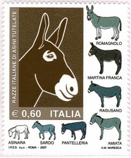 2007 repubblica italiana usato  Italia