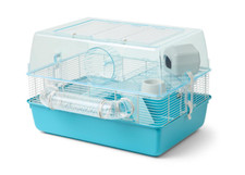 Pets home hamster for sale  IPSWICH