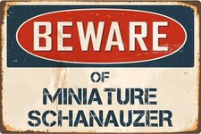 Beware miniature schnauzer for sale  DUNSTABLE