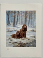 Dog art print for sale  HELENSBURGH