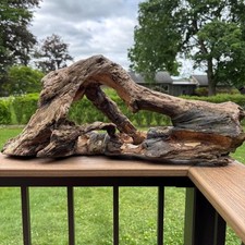 Natural driftwood 23x7x9.5 for sale  Marlboro