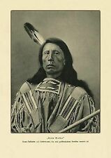 Indianer bild jack gebraucht kaufen  Grabenstätt