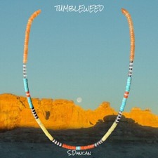 Native american bright for sale  Dayton