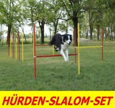Agility übungs hürden gebraucht kaufen  Auetal