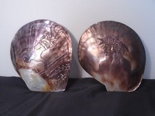 Paire coquillage sculpte d'occasion  Château-d'Olonne