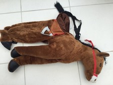 Humane society ride for sale  GLOUCESTER