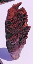 Exotic wood ancient for sale  Hephzibah