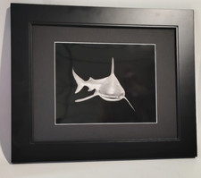 Artistic framed photography for sale  Seymour
