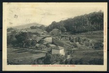 Italia regno 1918 usato  Bitonto
