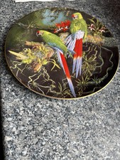 Macaw plate buffon for sale  BOLTON