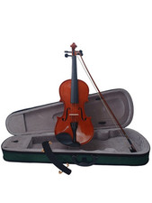 Usado, violino 4/4 usato comprar usado  Enviando para Brazil